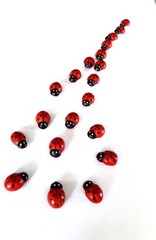 Enchanting 100 Mini Ladybug Stickers – Wooden, Self-Adhesive Garden Accents