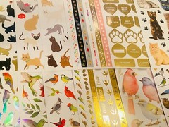 555+ Stickers Variety Pack School Classroom Reward Kids Students Teacher Fun Pk