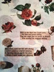 50 Pgs Detailed Beautiful Floral Sticker Book & Eph Paper 22pgs & 375 Stickers
