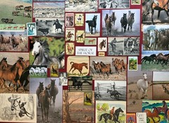 HORSES Curated playing cards & book pages kit Some Vintage 45 Pieces – original