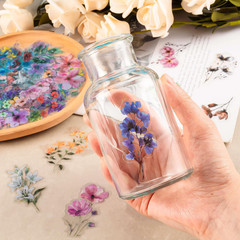 300Pcs Transparent Flower Stickers, Cute Vintage Floral Sticker for Scrapbooking