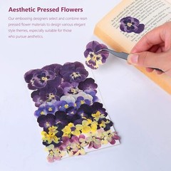 48 Pcs Mix Natural Dried Pressed Flowers for Cake Decorating, Johnny Jump Up