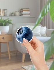 Big Blueberry Die Cut Vinyl Stickers Set Scrapbooking Laptop Water Bottle