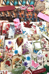 #702 – FLORAL BUTTERFLY – 15 PIECES – SCRAPBOOK JUNK JOURNAL SUPPLIES/KIT / LOT