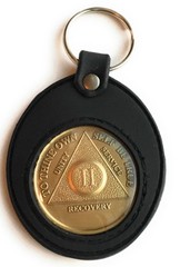 RecoveryChip Universal AA Medallion or Coin Holder Keychain Black Soft Silicone