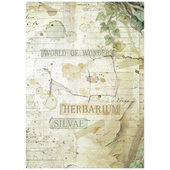 Stamperia Rice Paper- Herbarium Silvae A6 Backgrounds, DFSAK6048