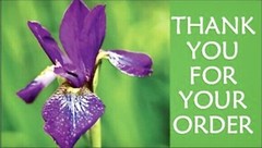 125 High Gloss Thank You Cards For Your Customers 3.5″x2″