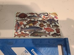 The Gifted Line Collectable Vintage Stickers 1995 John Grossman Fish