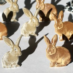 Eyelet Outlet Shape Brads 12/Pkg Rabbits Brown
