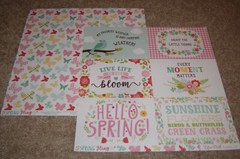 Echo Park 12×12 Double Sided Scrapbook Paper Lot of 8 ~ Spring Fling/Homegrown
