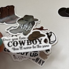 10 STICKERS WESTERN COWBOYS Journal Planner Notebook SCRAPBOOK WSIPDN