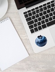 Big Blueberry Die Cut Vinyl Stickers Set Scrapbooking Laptop Water Bottle