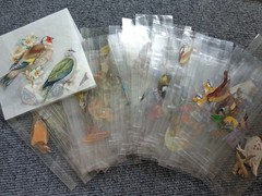 Lot of Vintage Paper Bird Small Cutouts for Junk Journaling Scrapbooking Crafts