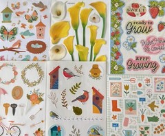 10 Sheets, nature outdoors floral flowers bloom insects camp animals wild life