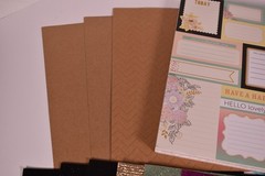 Lot of Assorted Scrapbooking Crafting Paper Patterned Solid Graphic