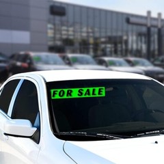 Chartreuse Green Vinyl Slogan Stickers – 12-Pack for Car Dealer Windshield