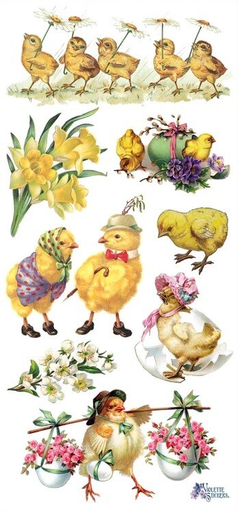 VIOLETTE STICKER – CHICK-A-DEE – 8″ x 3 3/4″ (20cm x 9cm), Eggs, Easter Daffodil