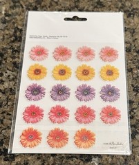 The Paper Studio Stick A Bilities DAISIES Flowers Flat Clear Stickers 38 Pcs
