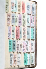 DiverseBee Laminated Bible Tabs – 84 Piece Set for Bible Study & Journaling