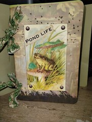 Pond Life Junk Journal Scrapbook USA Seller