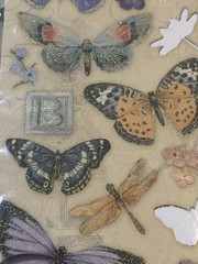 Butterflies Scrapbook Stickers & Rub On Transfers Lot