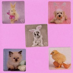 10 Rachael Hale Easter Large Stickers – Bunny Rabbit, Puppy Dog, Kitten, Chick