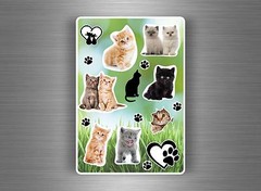 Board 10 Stickers Adhesive Stickers Child Card DIY Scrapbooking Cats