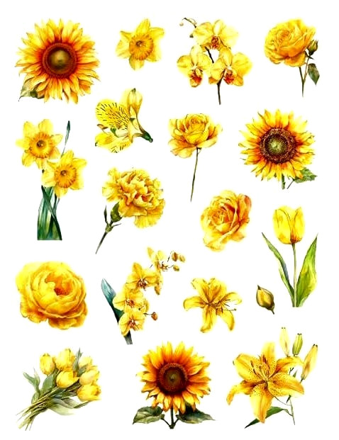 Yellow VINYL FLOWER STICKERS FAST USA SHIP 7 7/8″X 5.75″ SHEET #1.G