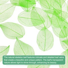 200-Pack Skeleton Leaves, Natural Rubber Leaves Vein[4-6cm, Green]