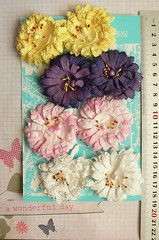 SUNFLOWER / GERBERA 8Pack WHITE PINK PURPLE YELLOW with Centre PAPER 50-55mm MHB