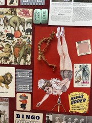 Circus Carnival Ephemera Lot Junk Journal scrapbooking 64 + pieces Kit Bundle