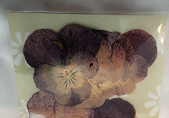 NEVER OPENED- 20yrs OLD! Pressed Petals Flower Confetti Scrapbooking – «Viola»