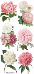 Violette Stickers Pink Peony Flowers Crafts Planner Supply Scrapbook