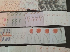 100pc 3 1/4 X 3 1/4 In. Quiet Words Among Flowers Scrapbook Papers Colorful