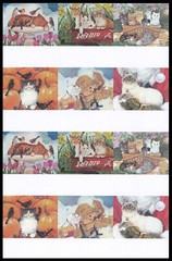 Stickers – Cat Kitten – Any Occasion CL009