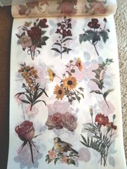 50 Pgs Detailed Beautiful Floral Sticker Book & Eph Paper 22pgs & 375 Stickers
