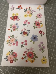 Amber Plans Her Day Doodled Florals Sticker Book 857 Planner Stickers 30 Pgs