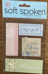 Soft Spoken MOMMY TO BE Mom Showered In Love Pregnant Pregnancy Glowing Boy Girl