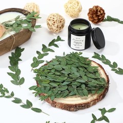 Wavwavw 50 Pcs Pressed Dried Eucalyptus Leaves 6 Inch 100% Natural Preserved …