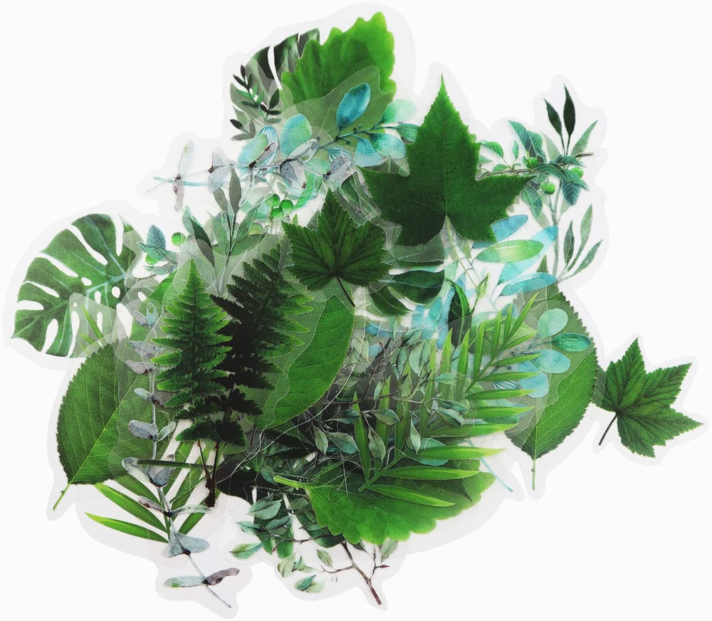 160Pcs Flower Plant Stickers,20 Patterns PET Transparent Decorative Stickers, Fl