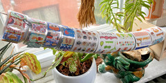 Japanese-inspired Kawaii Stickers off the Roll Perfect for Journals: You Choose!