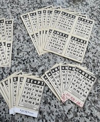 Jenni Bowlin Bingo Cards Calendar Months Scrapbook Paper Trimmed 75 Pc Lot