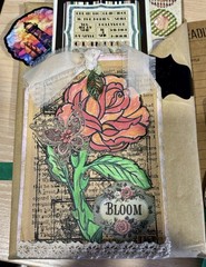Blind Date with a Fiction book kit,Perfect gift for her or yourself