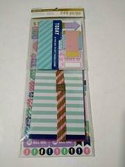 Recollections Planner Stickers Budget Bill Pay Accessory Kit 249 Pieces