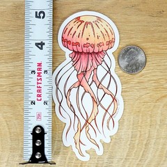 Jellyfish Sticker – Waterproof Vinyl Ocean & Sea Life Decal – Laptops & Crafts