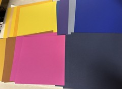 Scrapbook Paper 8 Lbs Over 180 12″ x 12″ Sheets Magnolia Jane, Stampin Up