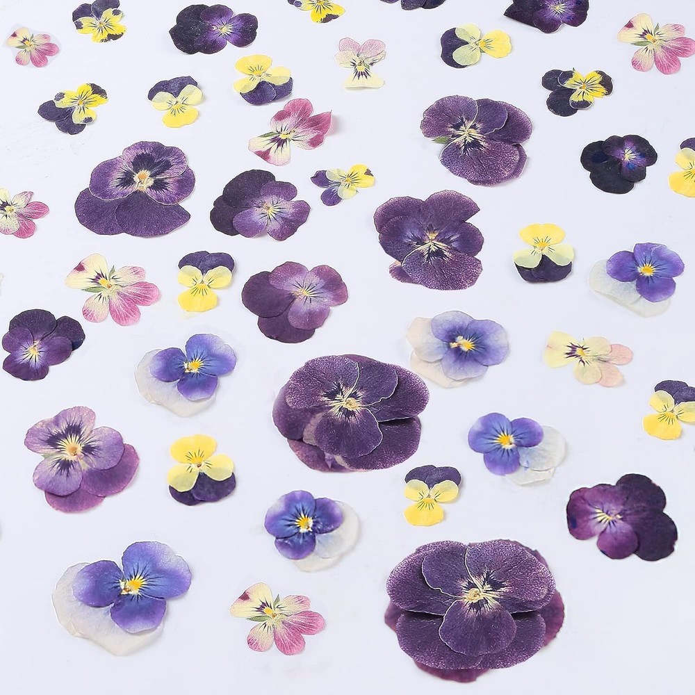 48 Pcs Mix Natural Dried Pressed Flowers for Cake Decorating, Johnny Jump Up