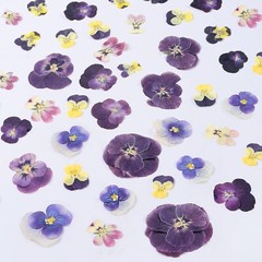 48 Pcs Mix Natural Dried Pressed Flowers for Cake Decorating, Johnny Jump Up