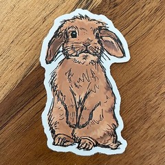 RABBIT stickers, 20pcs, Bunny, animals, bunny lover, decal FREE Shipping*
