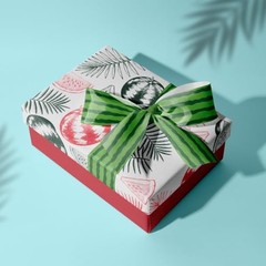 Watermelon Grosgrain Ribbons 8 Pack – 3/8 Inch Summer Theme Watermelon-3/8″